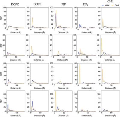 Modeling the molecular fingerprint of protein-lipid interactions of MLKL on complex bilayers